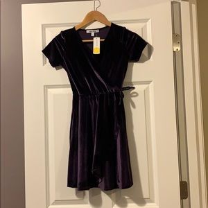 Dark Purple Velvet Dress